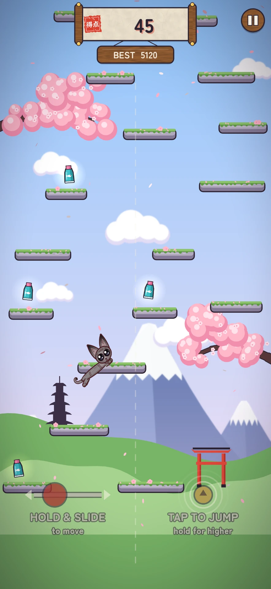 Wrinkle Jump — Controls